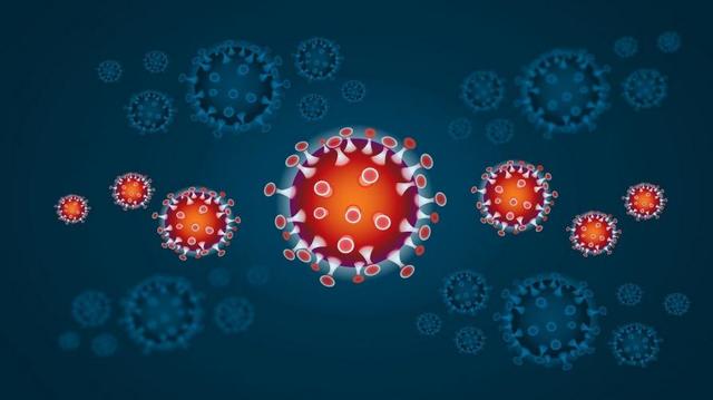 Avvertenze per emergenza coronavirus